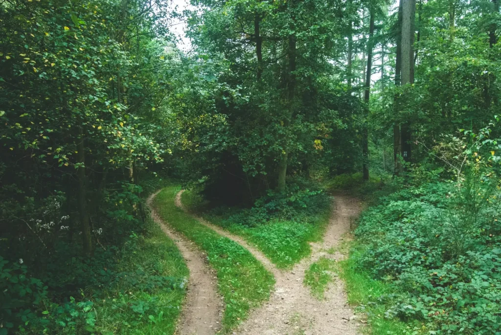 decision making in planning